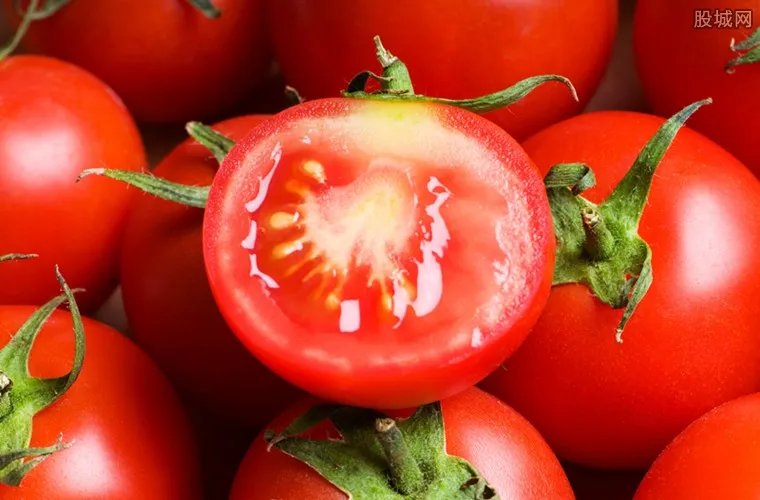 卖西红柿买3套房 2017西红柿价格行情