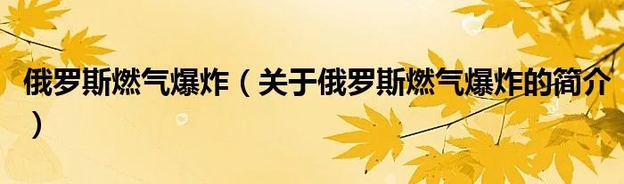 俄罗斯燃气爆炸（关于俄罗斯燃气爆炸的简介）