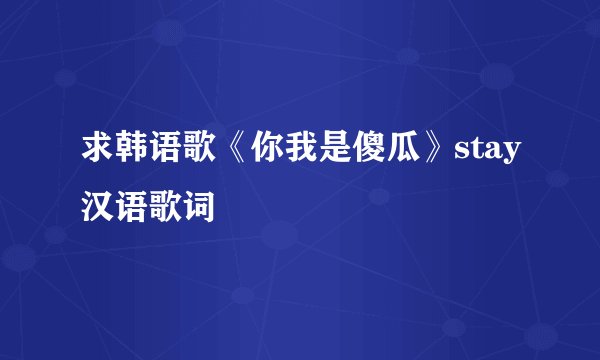 求韩语歌《你我是傻瓜》stay汉语歌词