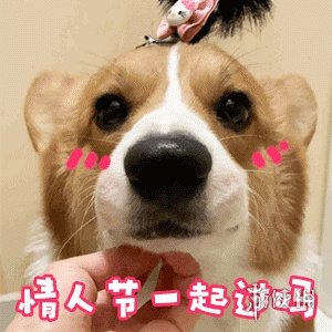 214情人节表情包搞笑图片 情人节搞笑表情包大全