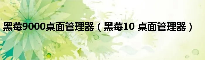 黑莓9000桌面管理器（黑莓10 桌面管理器）