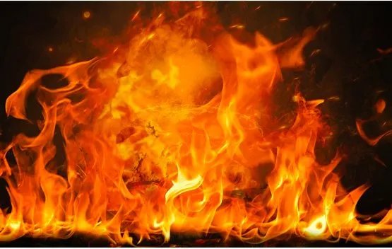 加州州长为什么会向澳加两国发起灭火求助？