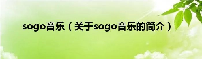 sogo音乐（关于sogo音乐的简介）