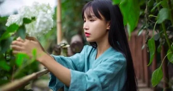 李子柒斥300余账号恶意侵权：让背后花钱的人失望了 是不是有点气人？