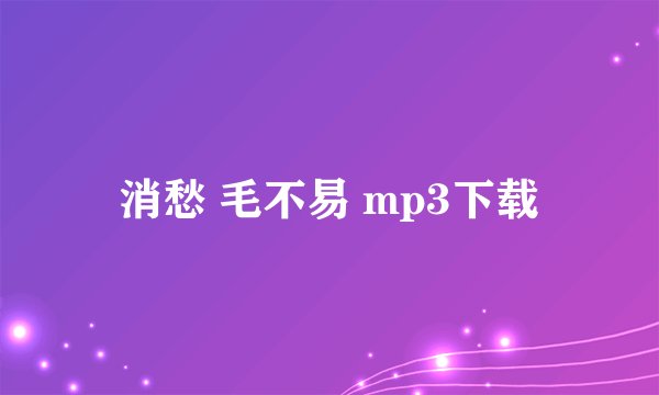 消愁 毛不易 mp3下载