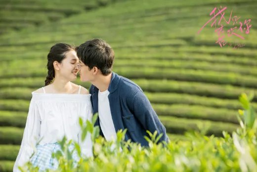 如何评价《我只喜欢你》？