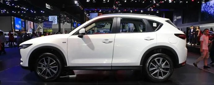 枣庄车辆违章查询网站(枣庄交通违章查询)