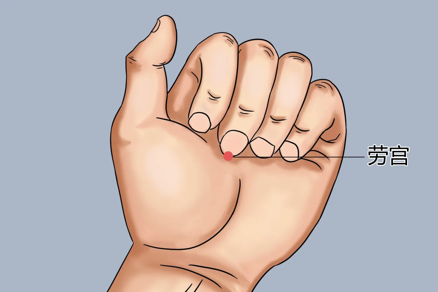 劳宫准确位置图作用功效