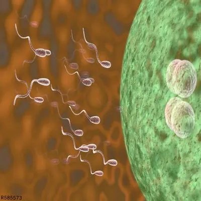 精液有血丝是什么情况 了解精液带血的几种情况