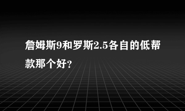 詹姆斯9和罗斯2.5各自的低帮款那个好？
