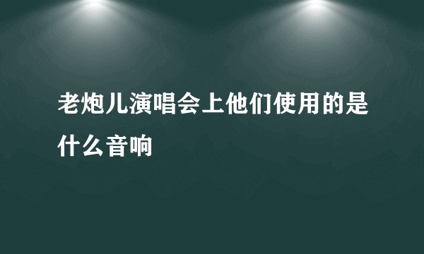 老炮儿演唱会上他们使用的是什么音响