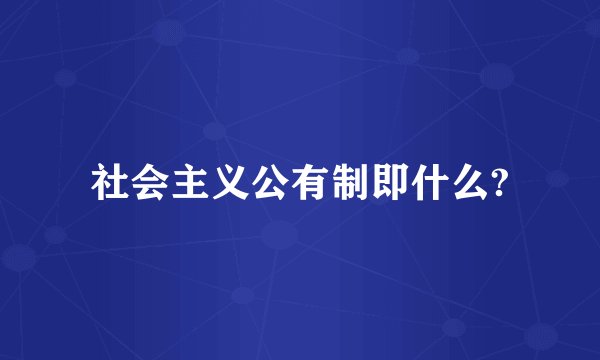社会主义公有制即什么?