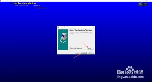 网络蚂蚁怎么用