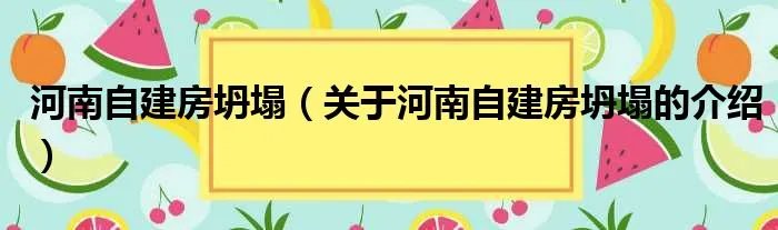 河南自建房坍塌（关于河南自建房坍塌的介绍）