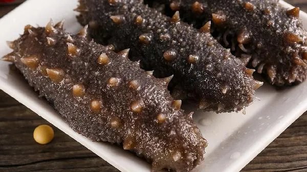 尿酸高的人能吃海参吗