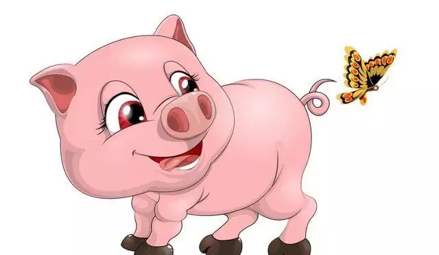 71年属猪48岁命运，1971年属猪是什么命 1971年出生人的命运