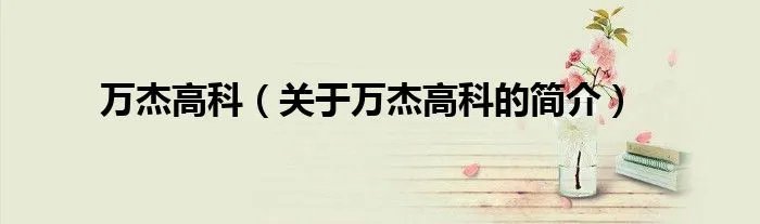 万杰高科（关于万杰高科的简介）