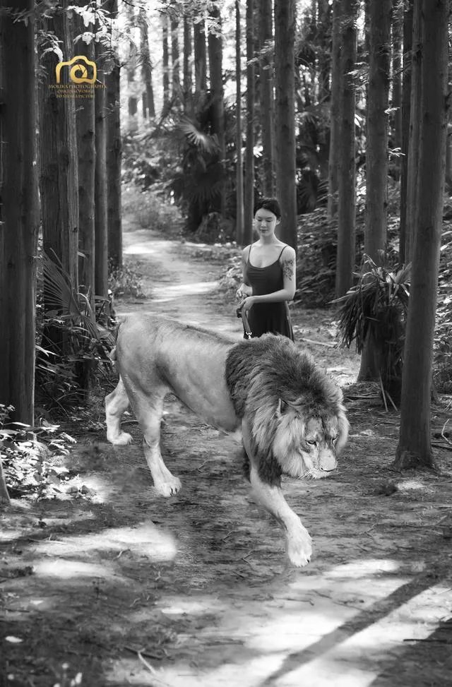 什么是单色照片作品?