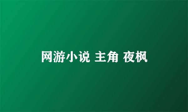 网游小说 主角 夜枫