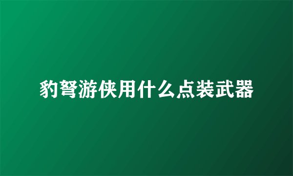 豹弩游侠用什么点装武器