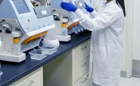 小学语文教研工作总结