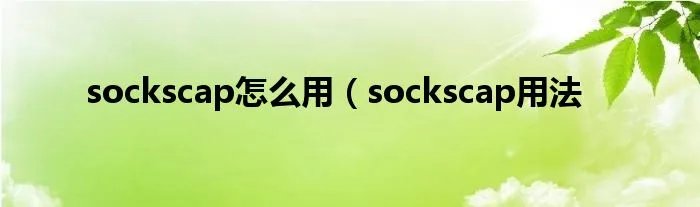 sockscap怎么用（sockscap用法