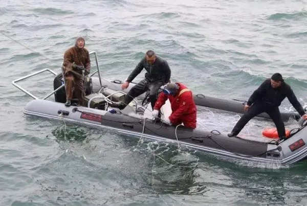 高校为考研学生做知识点蛋糕，你还听说过哪些有趣的高校事？