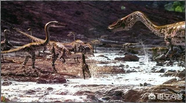 科学家发现2.2亿年前恐龙墓，谁给安葬的呀？