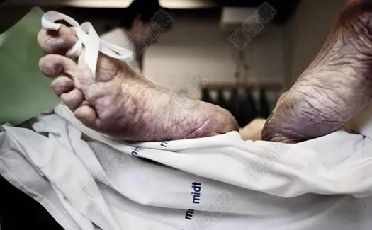 人死后真实世界曝光!轰动全球(全文)