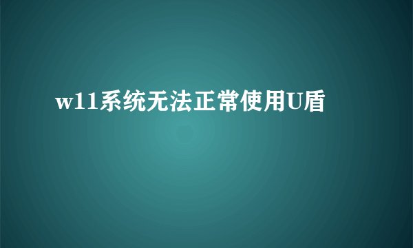 w11系统无法正常使用U盾
