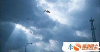 真龙被首次发现组图 昆仑山2006年千年真龙事件