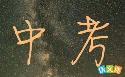 河北中考满分作文