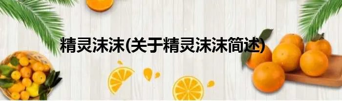 精灵沫沫(关于精灵沫沫简述)