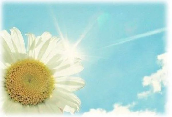 给悲伤机会的歌词