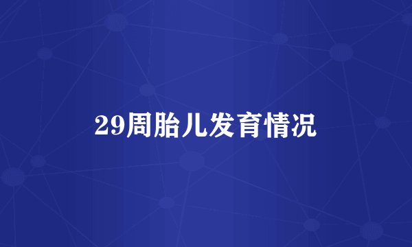 29周胎儿发育情况