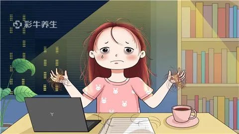 秃顶可以植发吗