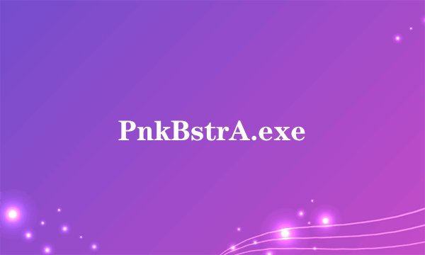 PnkBstrA.exe