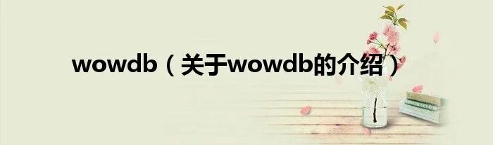 wowdb（关于wowdb的介绍）