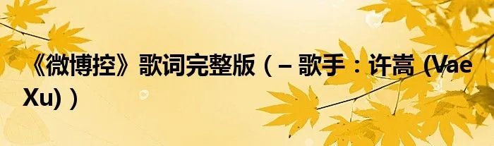 《微博控》歌词完整版（– 歌手：许嵩 (Vae Xu)）