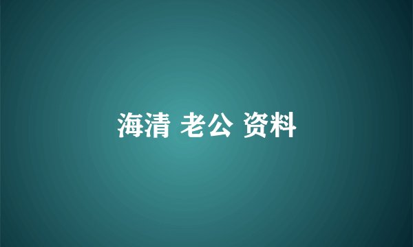 海清 老公 资料