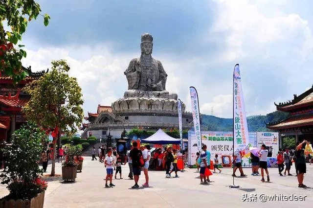 东莞的观音山国家森林公园怎么样？