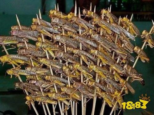 蝗虫集体出动时整整齐齐、路线一致,这是为了