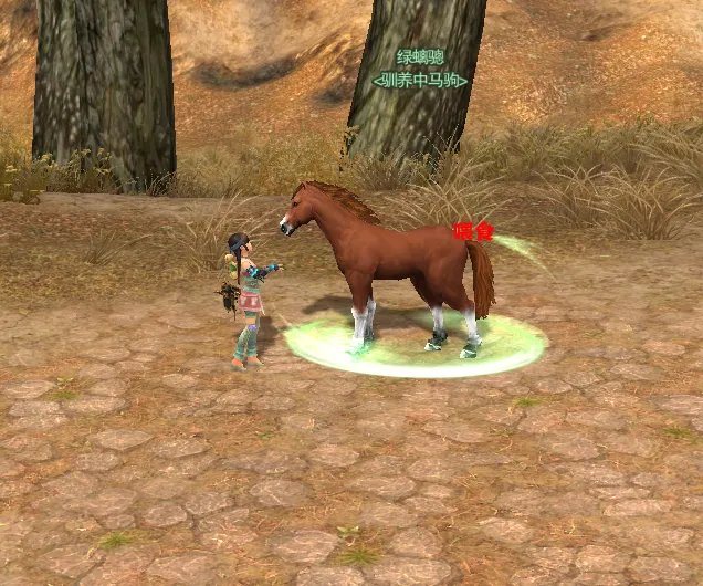 献给新手玩家 剑网3马驹驯养基本常识之一