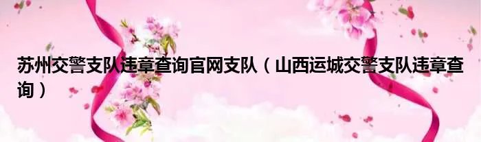 苏州交警支队违章查询官网支队（山西运城交警支队违章查询）