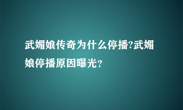 武媚娘传奇为什么停播?武媚娘停播原因曝光？