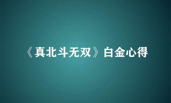 《真北斗无双》白金心得