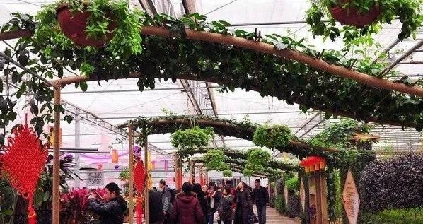 长春有哪些花鸟鱼市场？