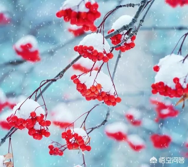 你十七岁做过最浪漫的事情是什么?