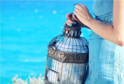 隔壁机长大叔是饿狼( 1v1)黑暗森林