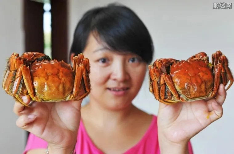 捆蟹大妈月入万元 大闸蟹版的“双11”火爆开幕